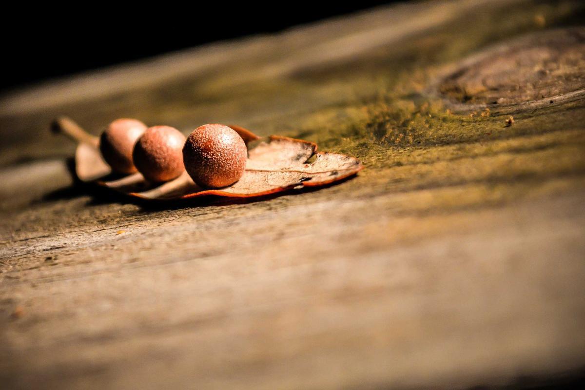 Consequatur et et eum voluptates qui.