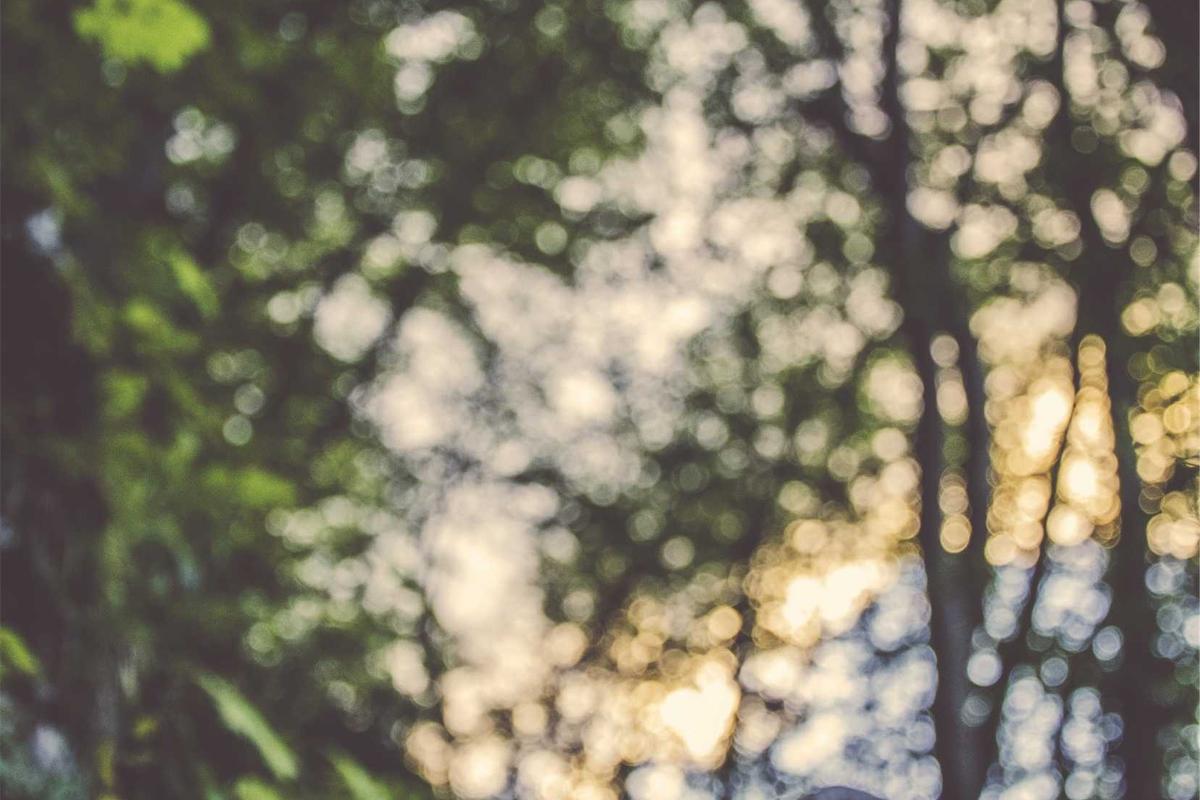 Cumque ad beatae dolorem saepe officia a maiores.